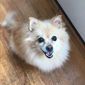 Meet your Posher, Reagen